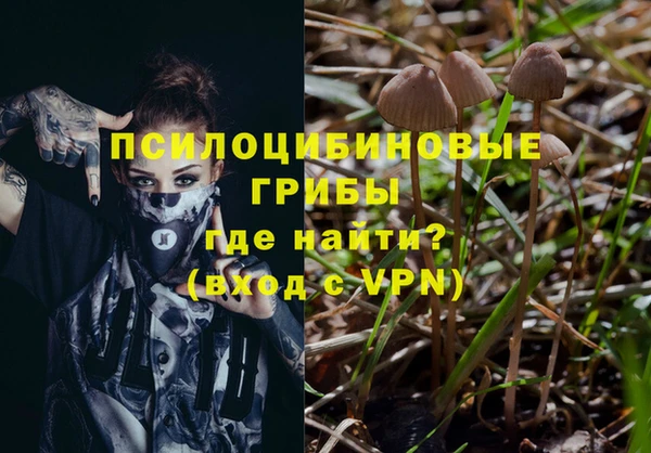 apvp Балабаново