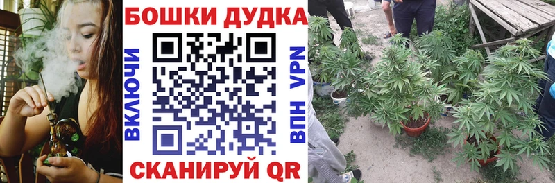 купить наркотики сайты  KRAKEN рабочий сайт  Каннабис SATIVA & INDICA  Сенгилей 
